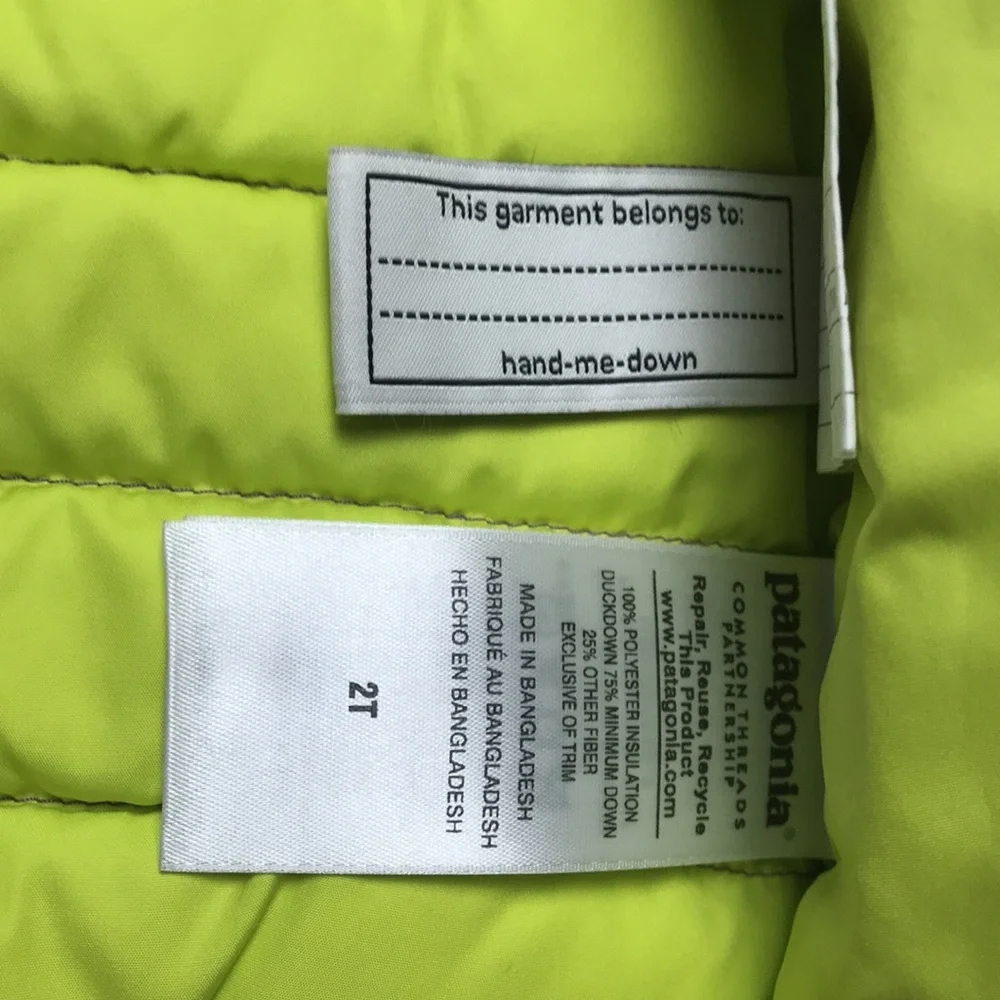 Patagonia Down Vest (size 2T)